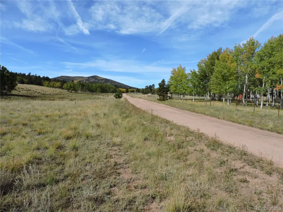 400 Aspen Way Dr, Lake George, CO 80827 - Image #2