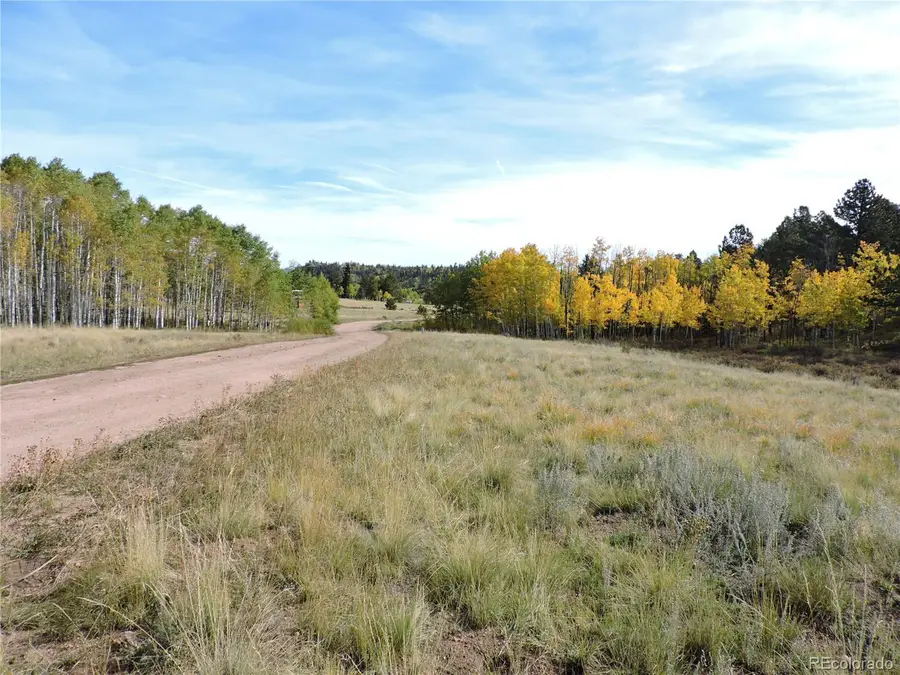 400 Aspen Way Dr, Lake George, CO 80827 - Image #3