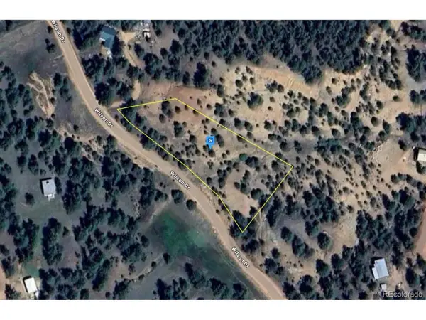 228 Wilson Dr, Florissant, CO 80816