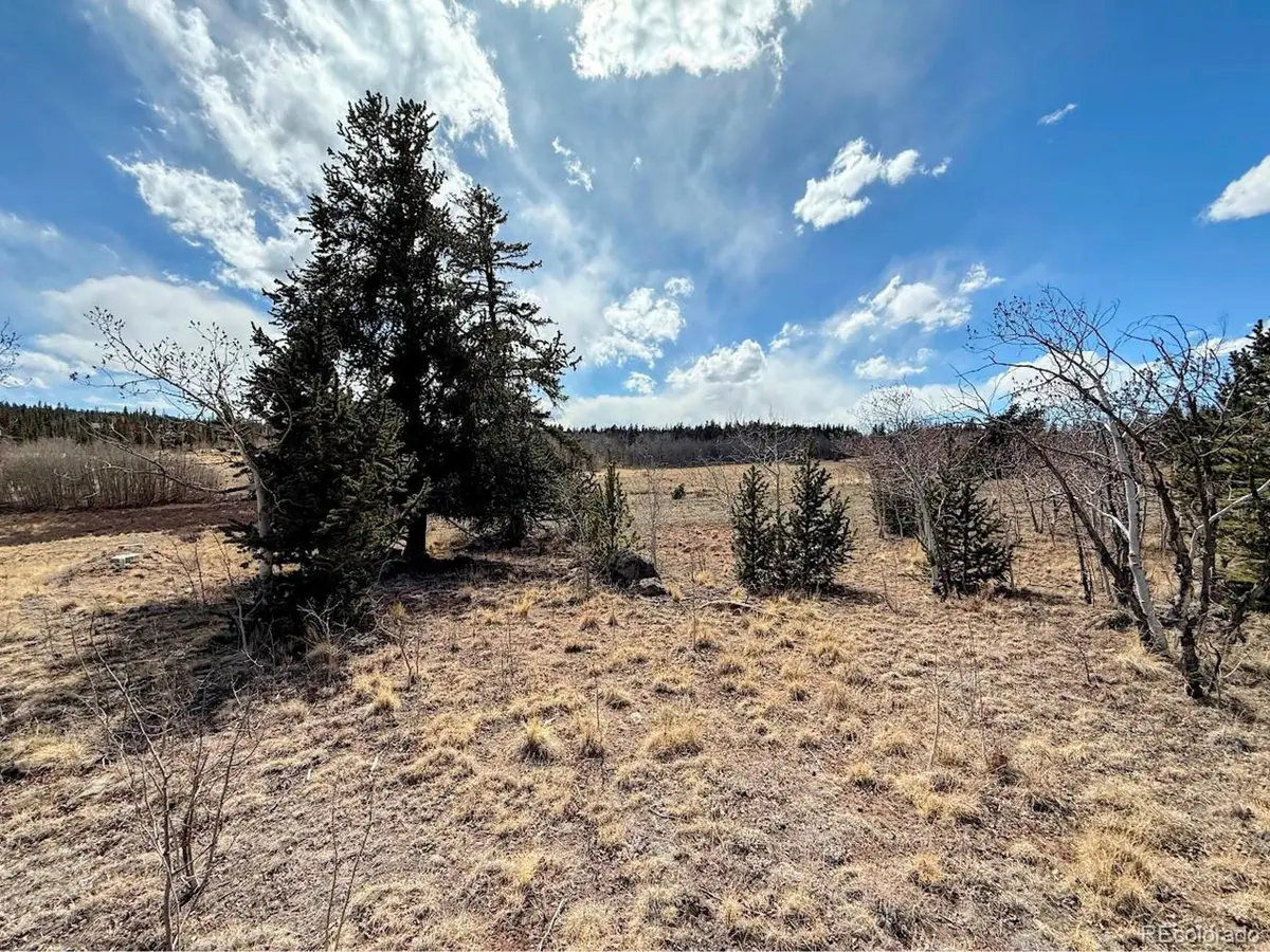 1238 Overland Cir, Jefferson, CO 80456 - #1