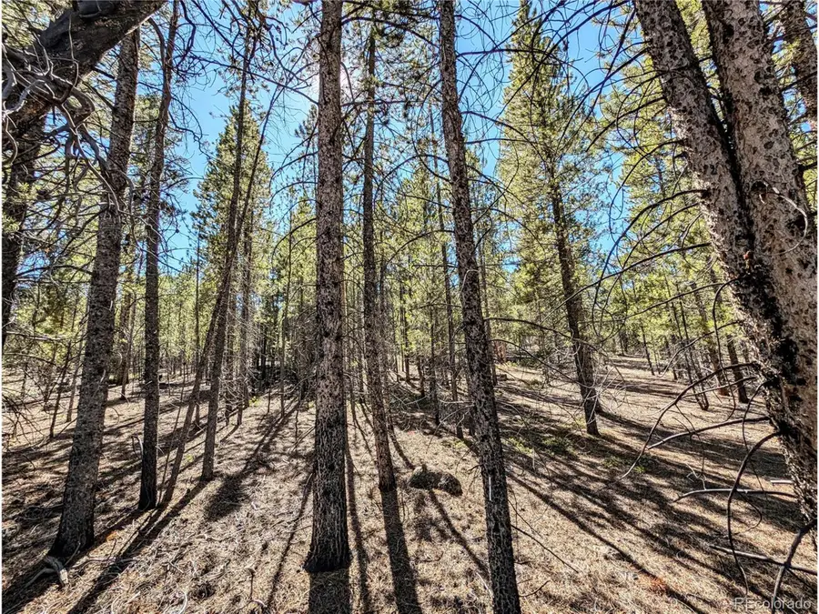 322 Juniper Dr, Twin Lakes, CO 81251 - Image #2