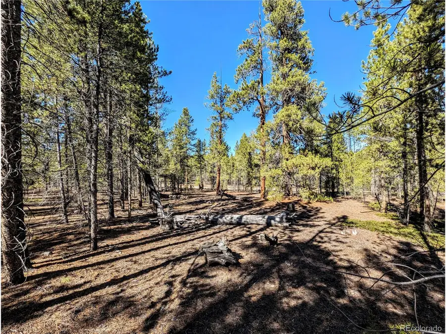 322 Juniper Dr, Twin Lakes, CO 81251 - Image #3