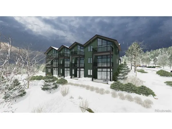 113 Wheeler Rd, Winter Park, CO 80482