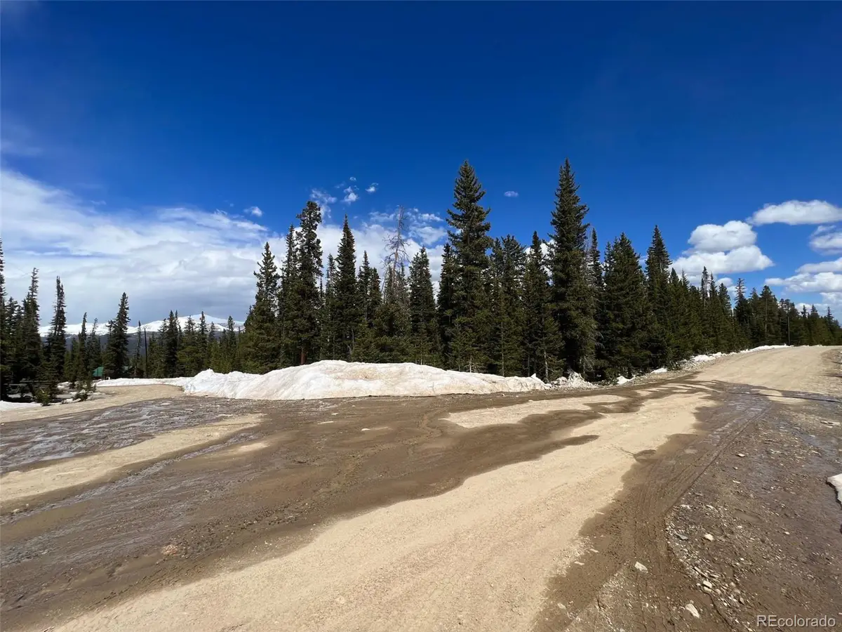 134 El Lobo Ln, Fairplay, CO 80440 - Image #1