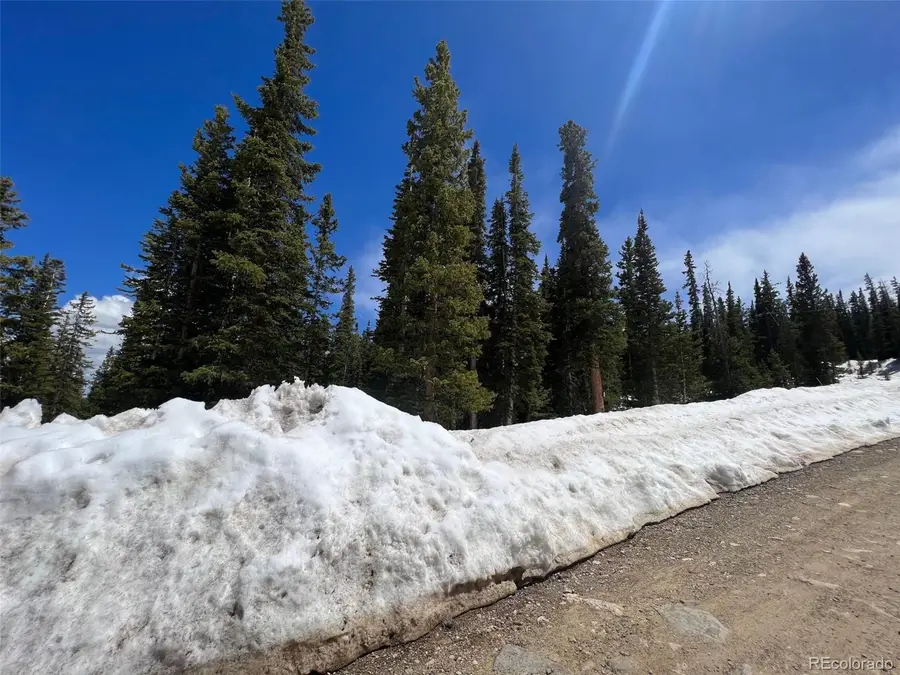 134 El Lobo Ln, Fairplay, CO 80440 - Image #3