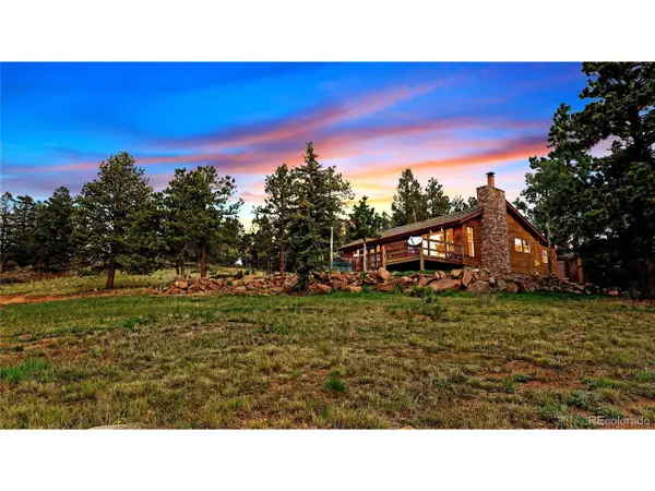 67 Holdup St, Bailey, CO 80421