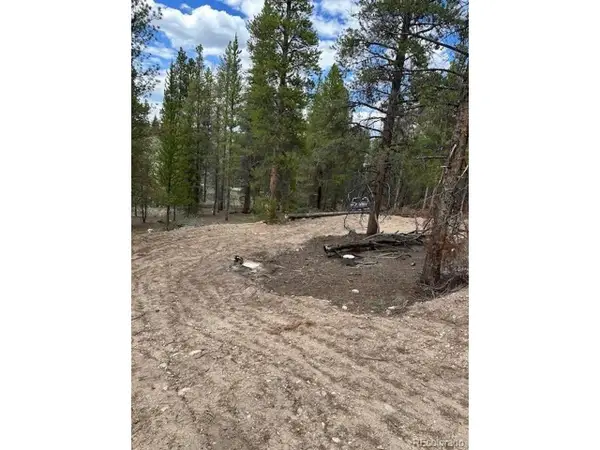 123 Lodgepole Dr, Leadville, CO 80461