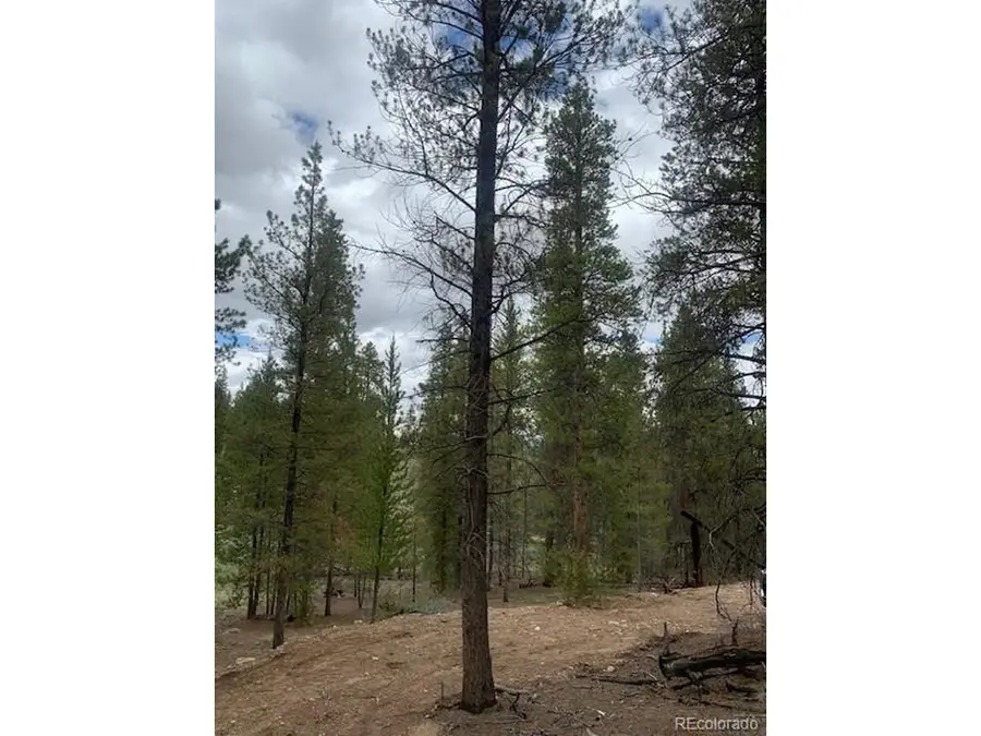 123 Lodgepole Dr, Leadville, CO 80461 - Image #2