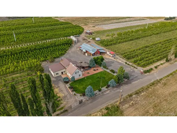 20809 Nowhere Rd, Eckert, CO 81418