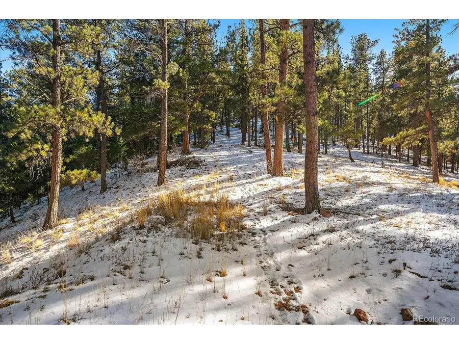0 Fish Pond Way, Pine, CO 80470 - #3
