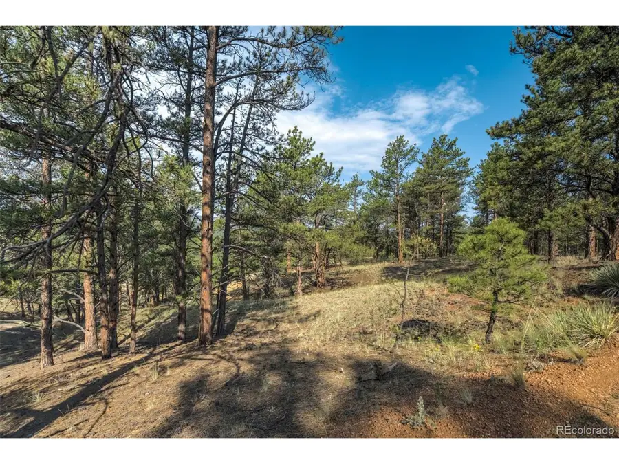 39 Reed Dr, Florissant, CO 80816 - Image #3