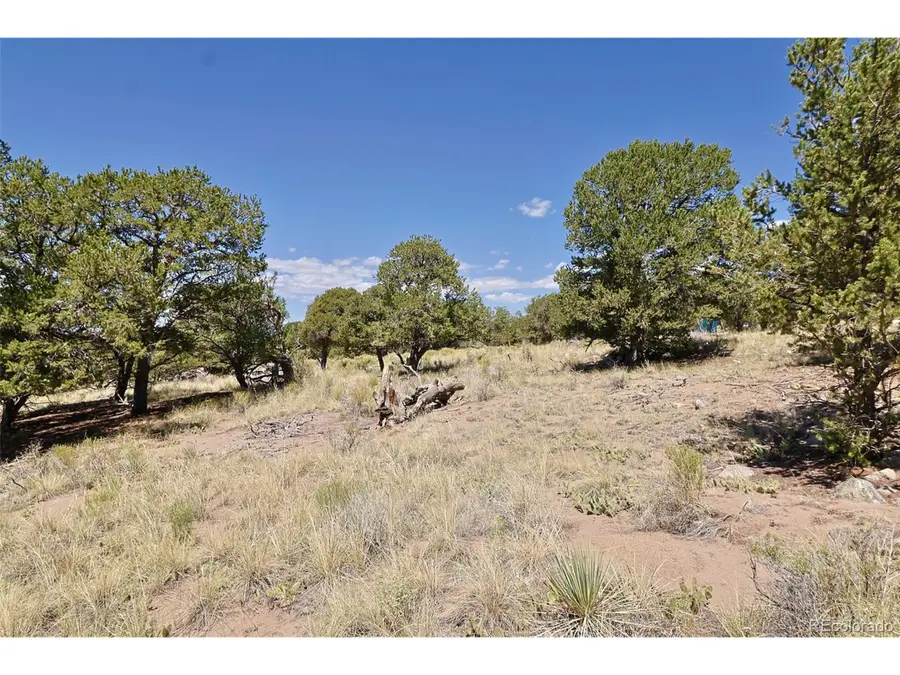 4446 Rarity Way, Crestone, CO 81131 - Image #3