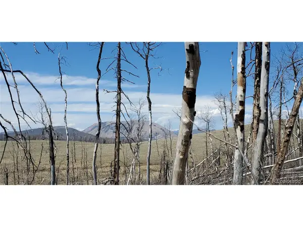 2398 Petito Dr, Fort Garland, CO 81133