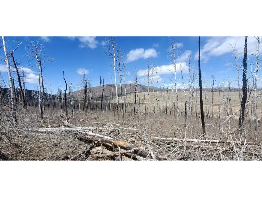 2398 Petito Dr, Fort Garland, CO 81133 - #2