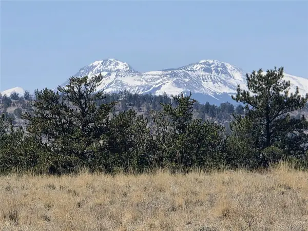 1000 Yellowstone Rd, Hartsel, CO 80449