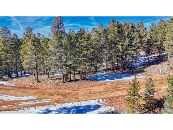 79 Huntsman Cir, Florissant, CO 80816