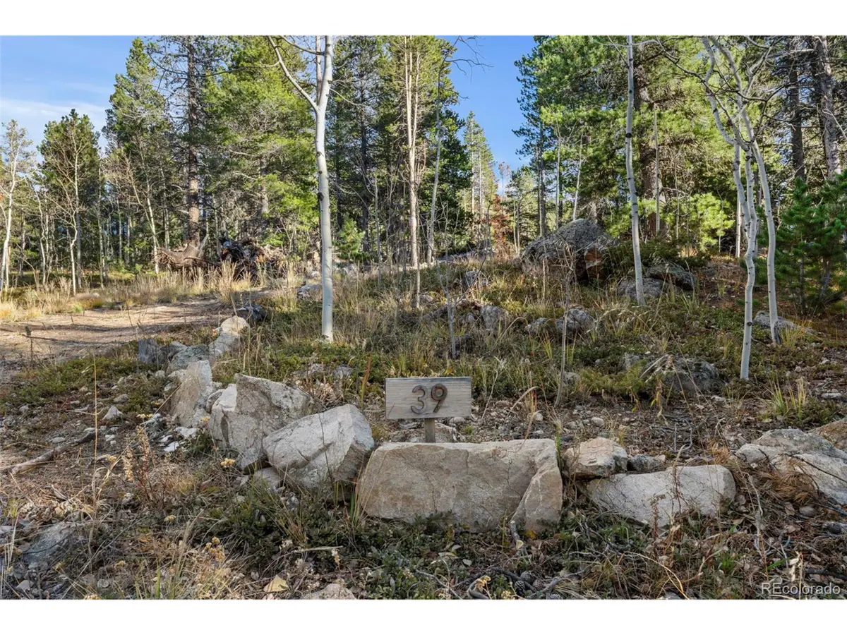 84 Severance Lodge Rd, Black Hawk, CO 80422 - #1
