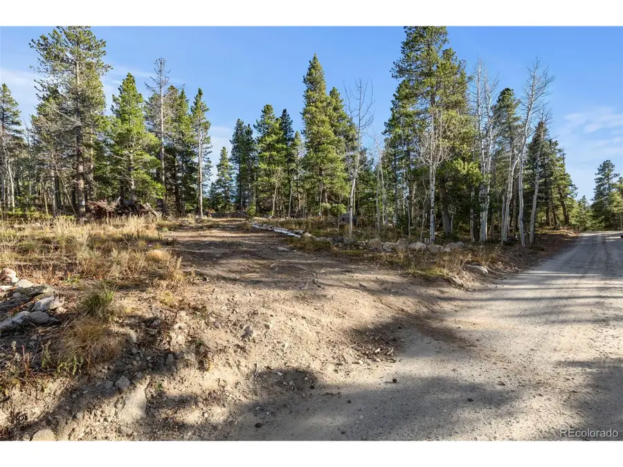 84 Severance Lodge Rd, Black Hawk, CO 80422 - #3