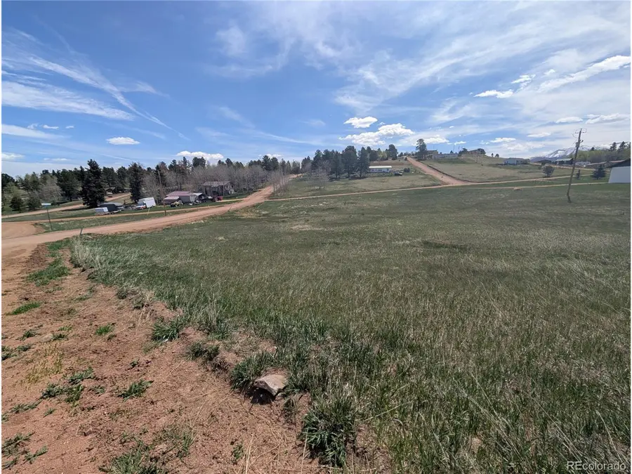 81 Fountain Dale Ln, Divide, CO 80814 - Image #3