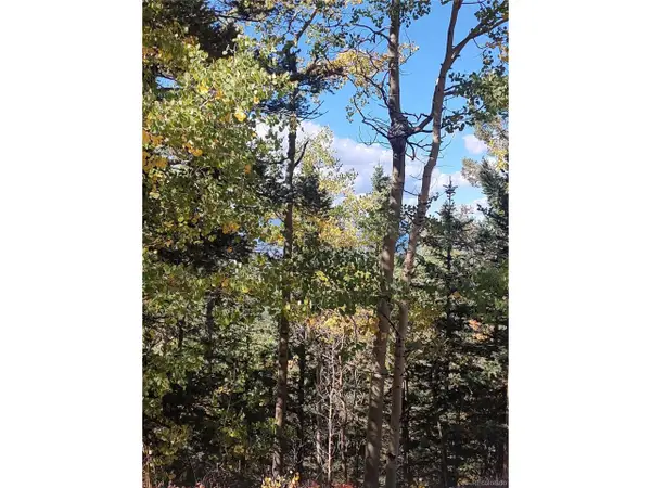 Lot 5374, Fort Garland, CO 81133