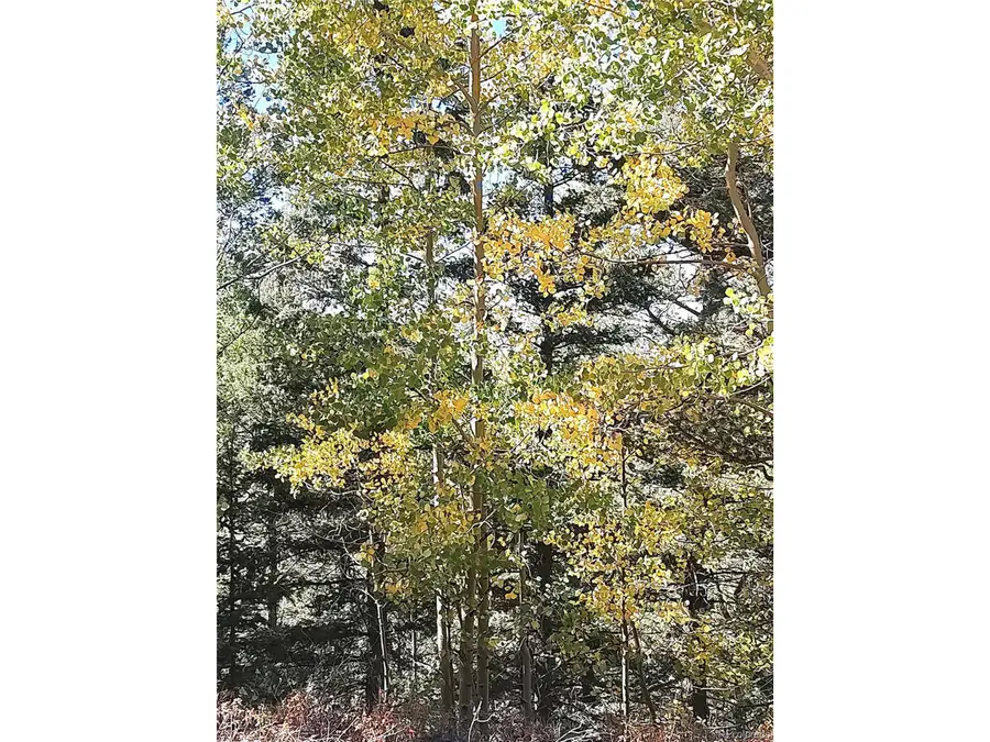 Lot 5374, Fort Garland, CO 81133 - #2
