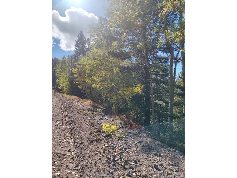 Lot 5374, Fort Garland, CO 81133 - #3