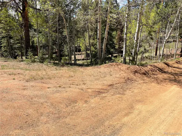 146 Gibson Rd, Westcliffe, CO 81252