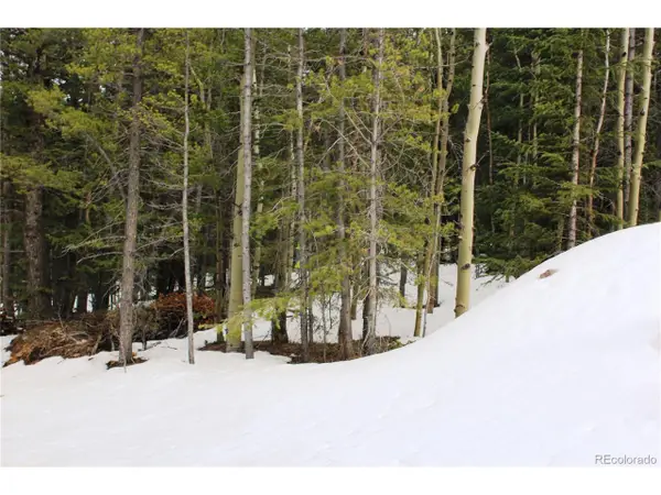 0 Miners Mesa Rd, Black Hawk, CO 80422