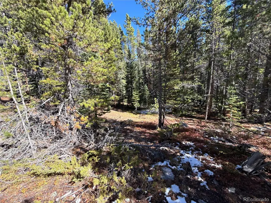 1010 Upper Forest Rd, Idaho Springs, CO 80452 - Image #2