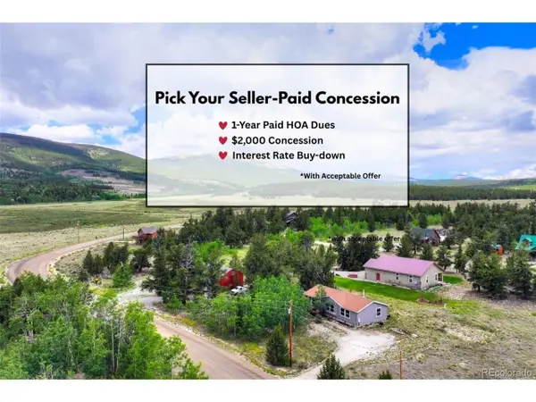 269 High Creek Rd, Fairplay, CO 80440