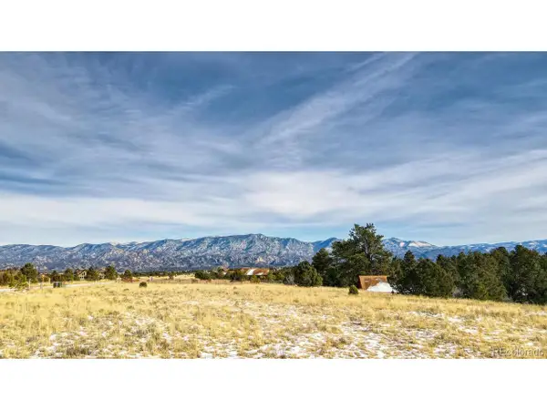 13584 County Road 261b, Nathrop, CO 81236