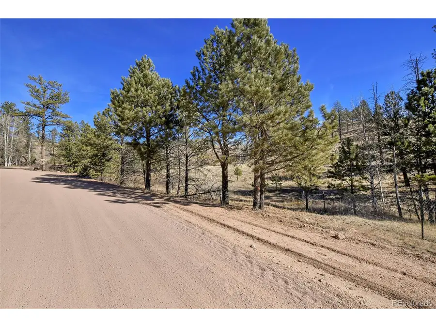 292 Chateau West Dr, Florissant, CO 80816 - #2