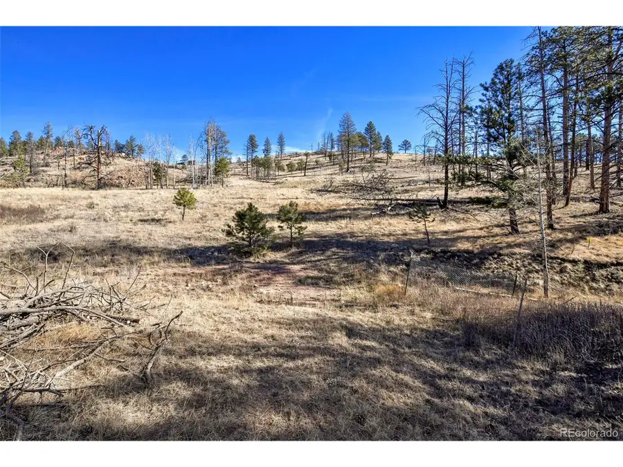 292 Chateau West Dr, Florissant, CO 80816 - #3