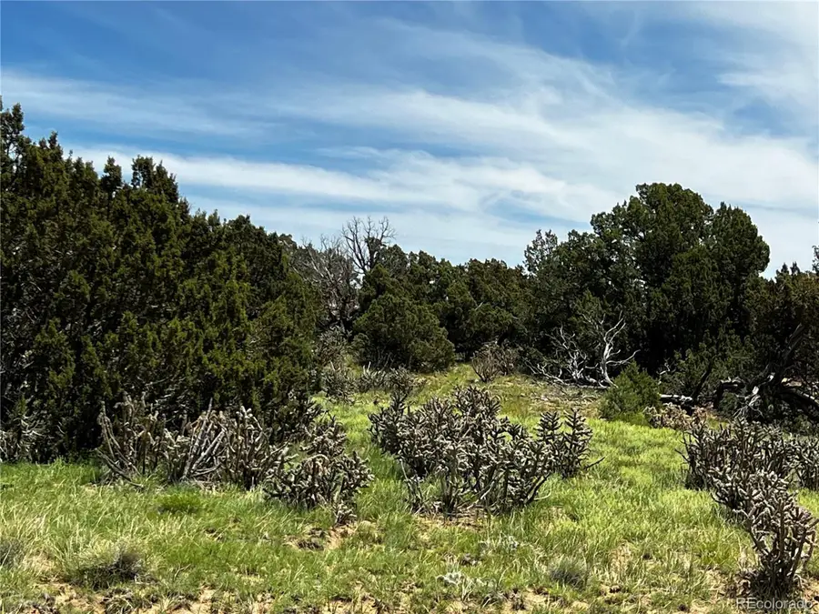 589 La Deora Blvd, Walsenburg, CO 81089 - #2