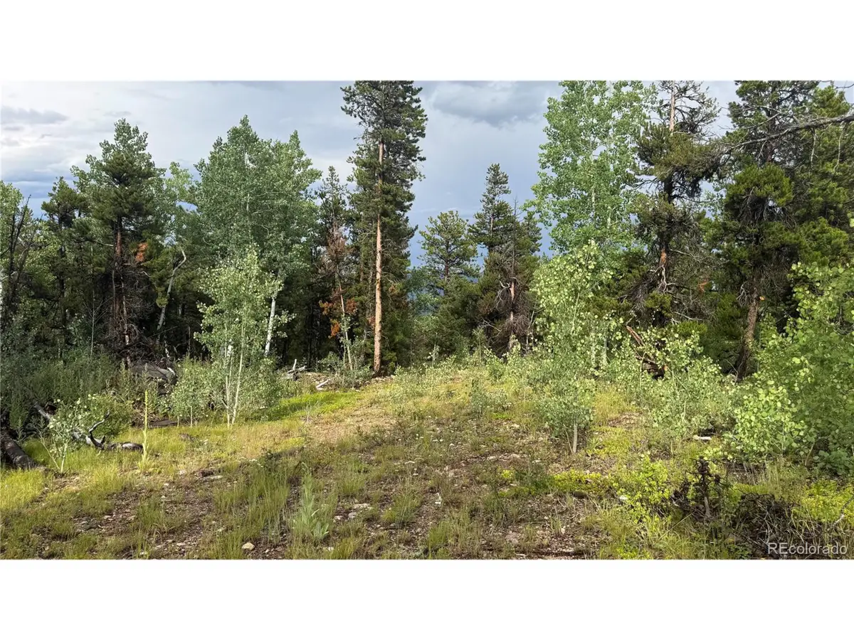 1 Church Placer Rd, Central City, CO 80427 - #1