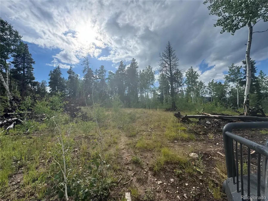 1 Church Placer Rd, Central City, CO 80427 - #2