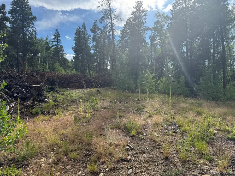 1 Church Placer Rd, Central City, CO 80427 - #3