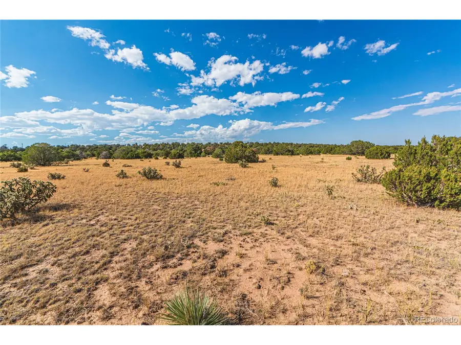 Tbd Twin Lake Ranches Lot 140, Walsenburg, CO 81089 - Image #3