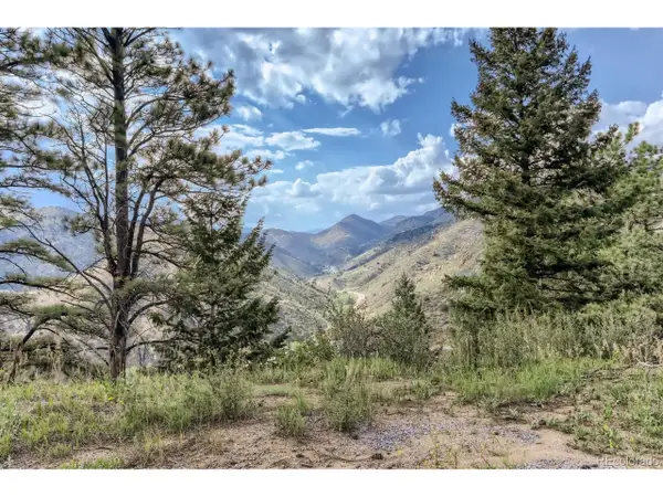 2154 Douglas Mountain Dr, Golden, CO 80403