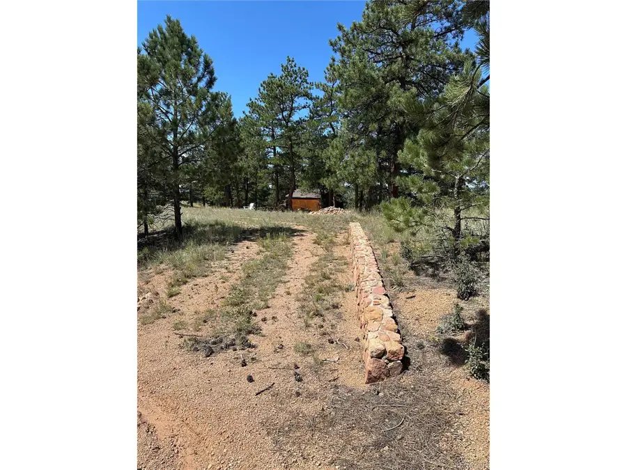 627 Navajo Trl, Florissant, CO 80816 - Image #2