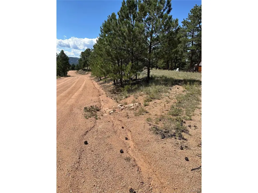 627 Navajo Trl, Florissant, CO 80816 - Image #3