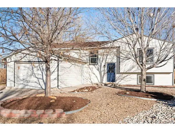 922 Park View St, Castle Rock, CO 80104