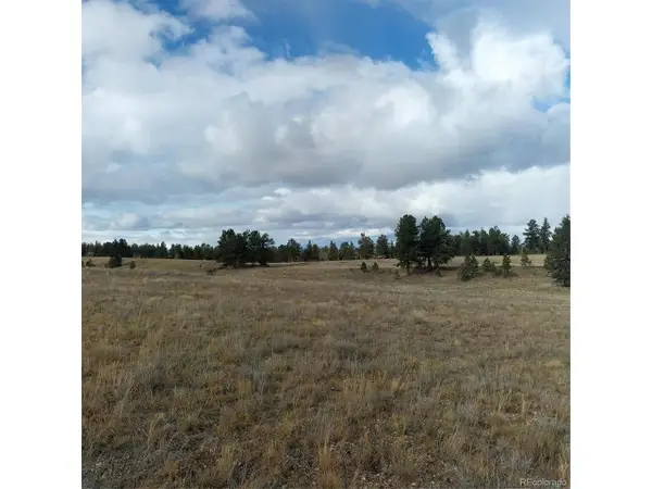 0 Singletree Rd, Buena Vista, CO 81211