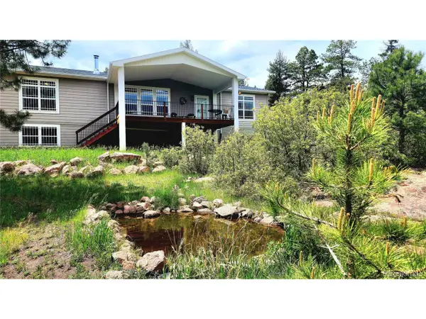 324 Pike View Ln, Florissant, CO 80816