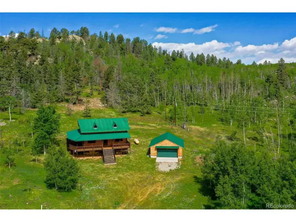133 Vail Dr, Florissant, CO 80816