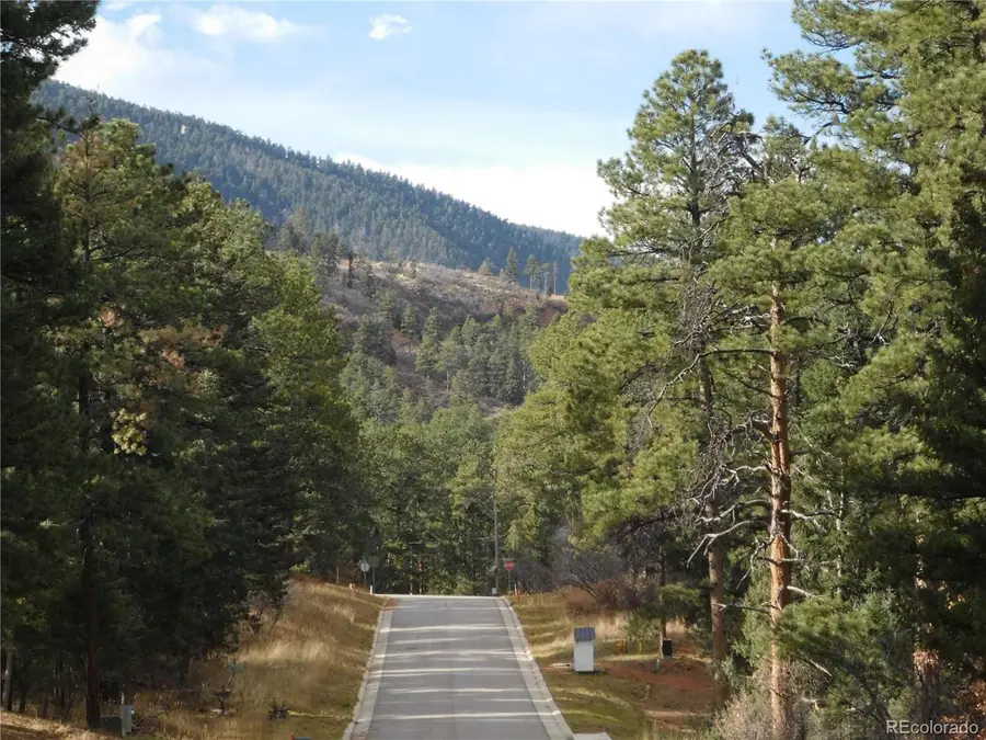 8139 Bannock Dr, Larkspur, CO 80118 - #2