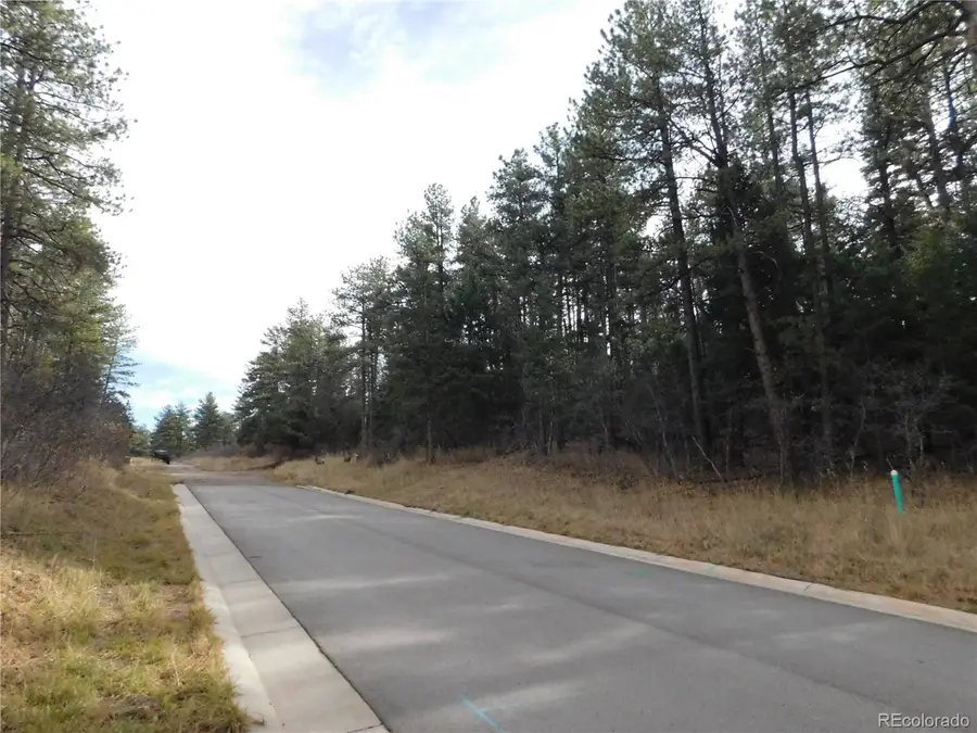 8139 Bannock Dr, Larkspur, CO 80118 - #3