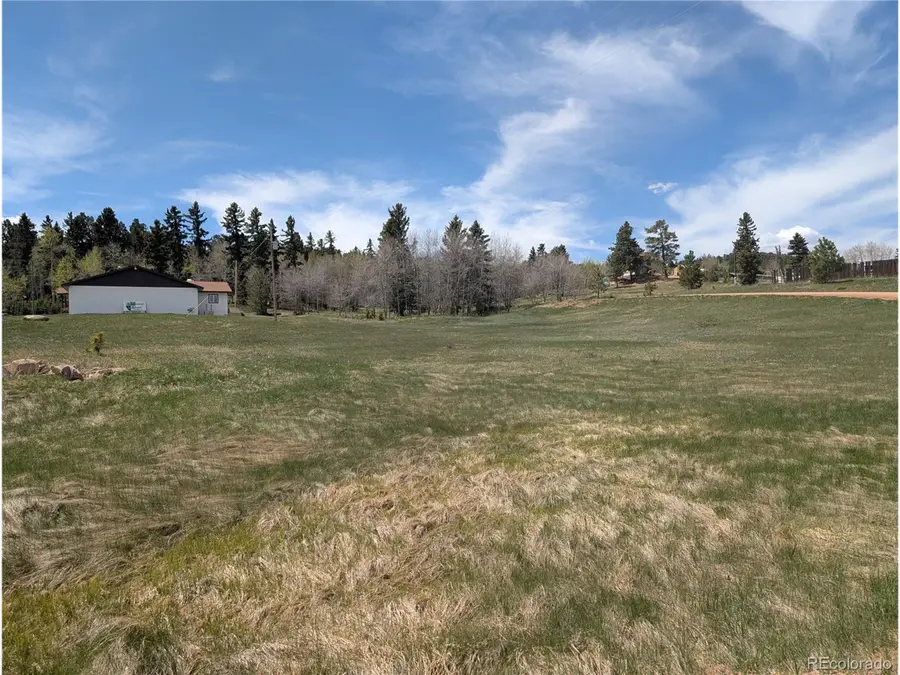 83 Fountain Dale Ln, Divide, CO 80814 - Image #2
