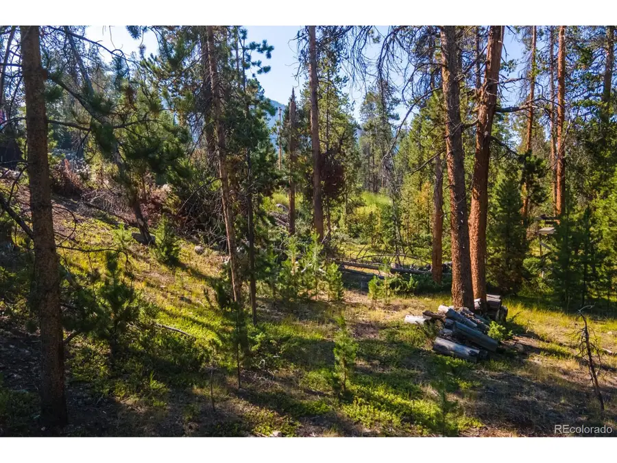 Address Withheld By Seller, Grand Lake, CO 80447 - Image #2