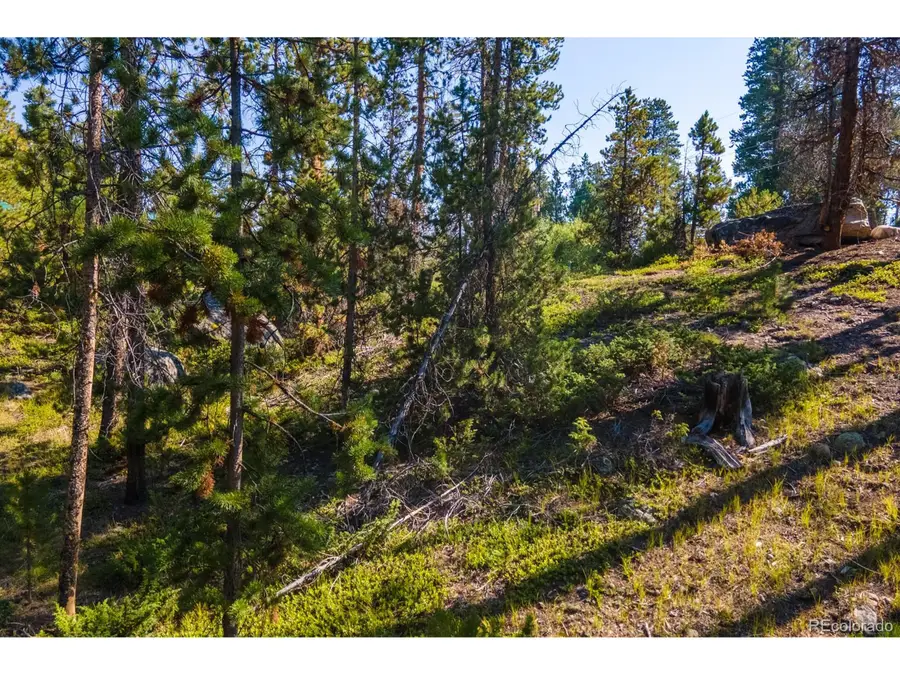 Address Withheld By Seller, Grand Lake, CO 80447 - Image #3